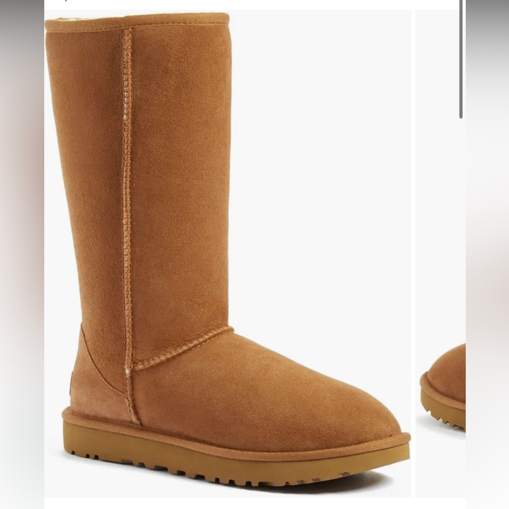 UGG Tall Boots in Chestnut Brown